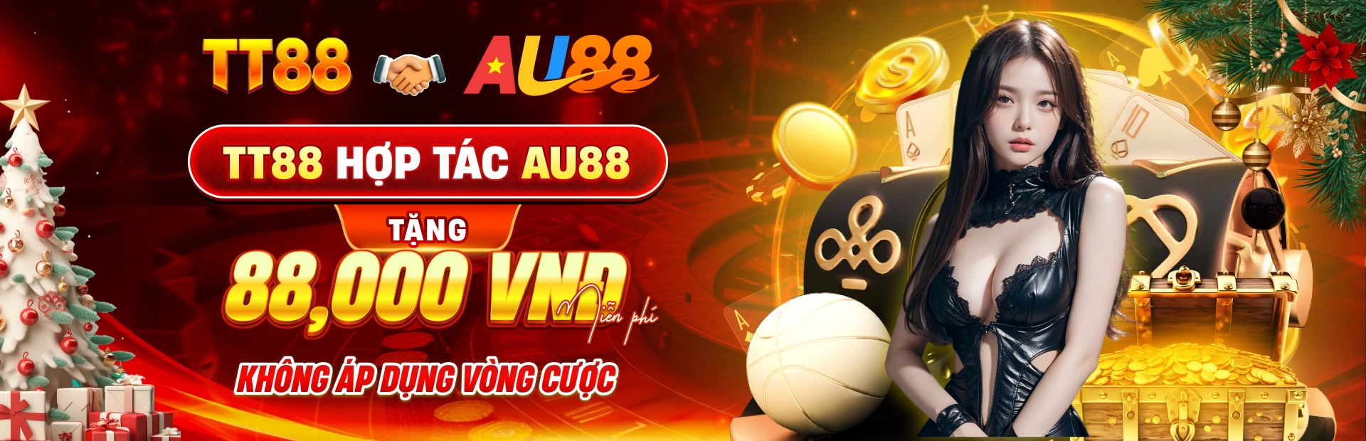 Banner dịch vụ thông tin TT88